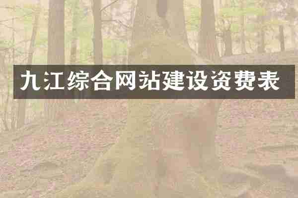 九江综合网站建设资费表