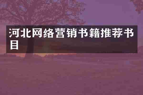 河北网络营销书籍推荐书目