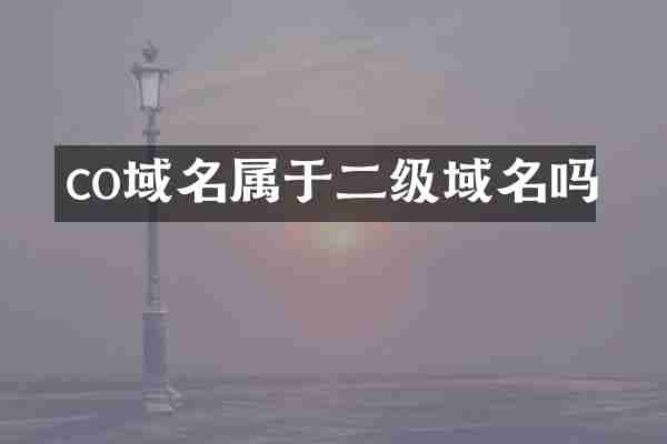 co域名属于二级域名吗