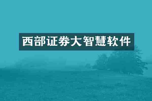 西部证券大智慧软件