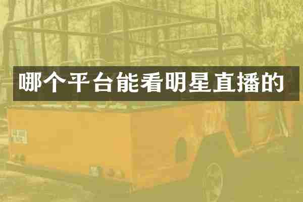 哪个平台能看明星直播的