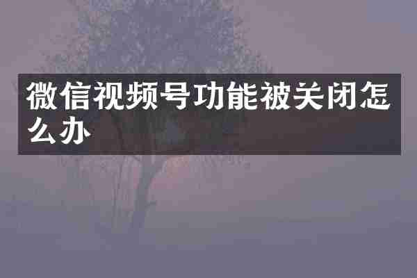 微信视频号功能被关闭怎么办