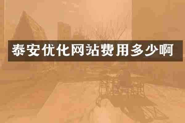 泰安优化网站费用多少啊