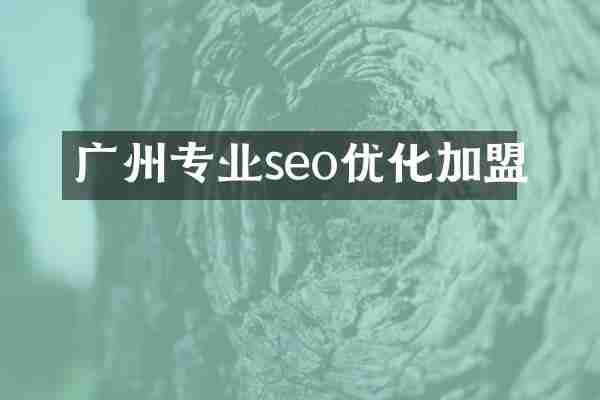 广州专业seo优化加盟