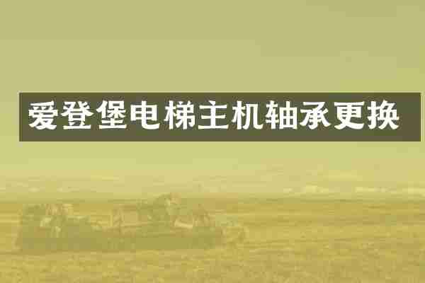 爱登堡电梯主机轴承更换