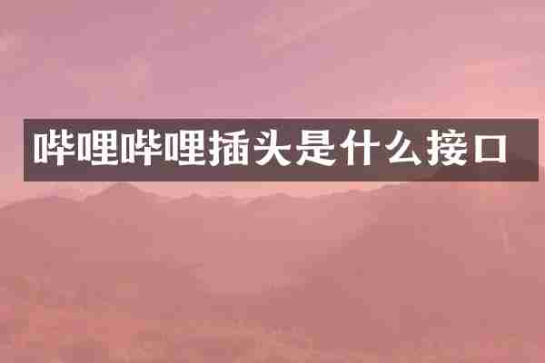 哔哩哔哩插头是什么接口