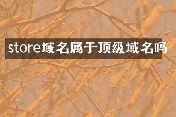 store域名属于顶级域名吗