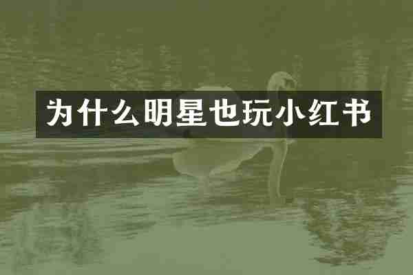 为什么明星也玩小红书