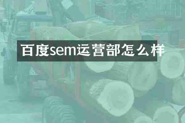 百度sem运营部怎么样