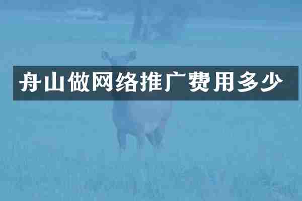 舟山做网络推广费用多少