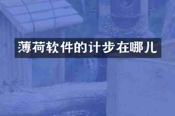薄荷软件的计步在哪儿