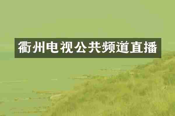 衢州电视公共频道直播