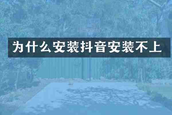 为什么安装抖音安装不上