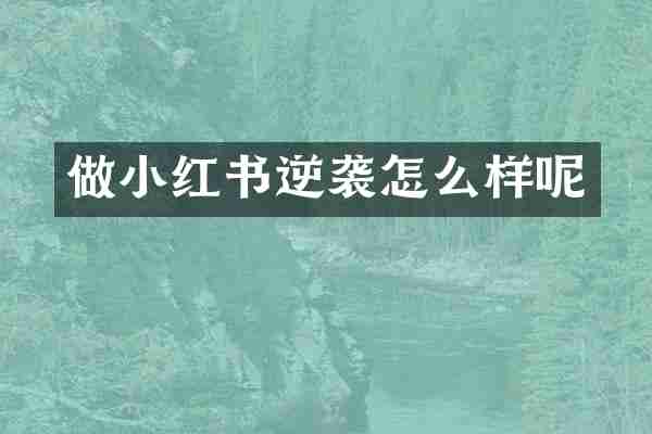 做小红书逆袭怎么样呢