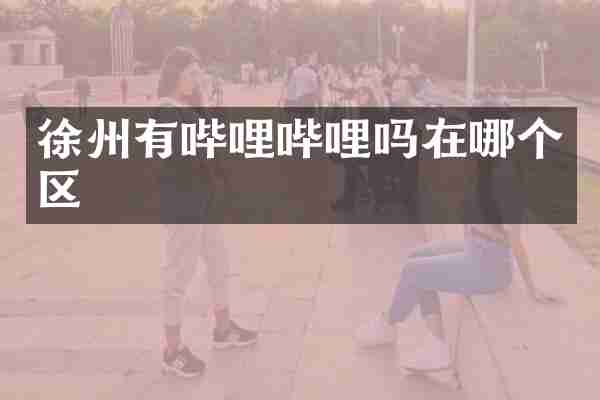 徐州有哔哩哔哩吗在哪个区