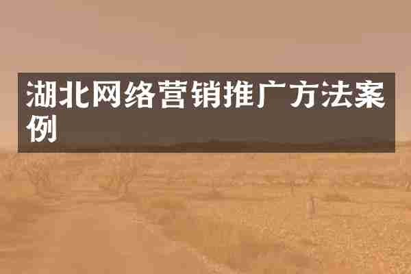 湖北网络营销推广方法案例