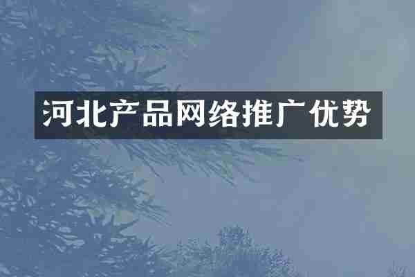 河北产品网络推广优势