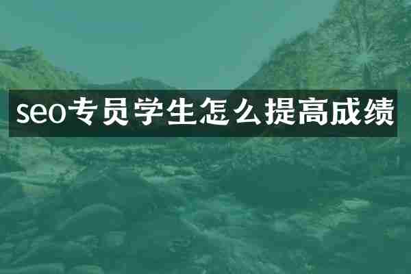 seo专员学生怎么提高成绩