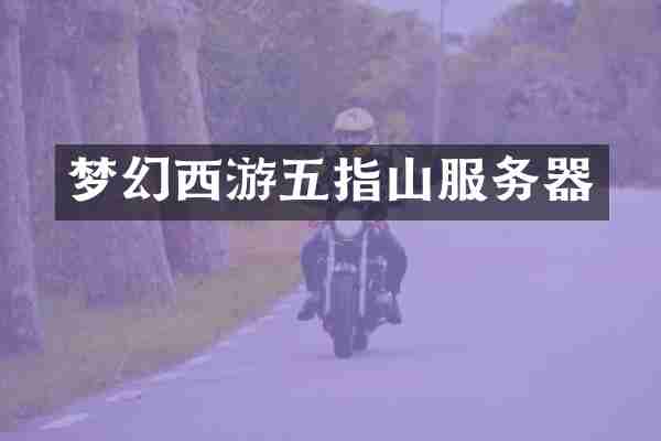 梦幻西游五指山服务器
