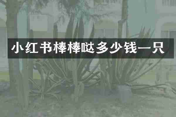 小红书棒棒哒多少钱一只