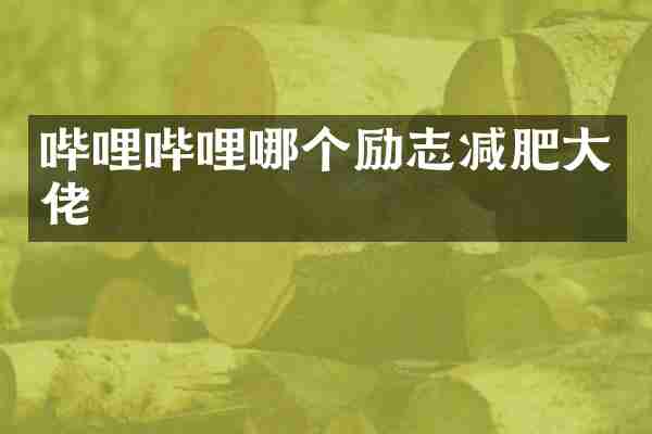 哔哩哔哩哪个励志减肥大佬