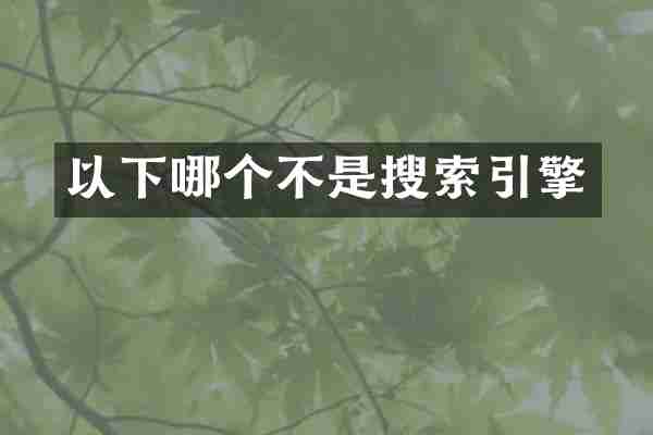 以下哪个不是搜索引擎