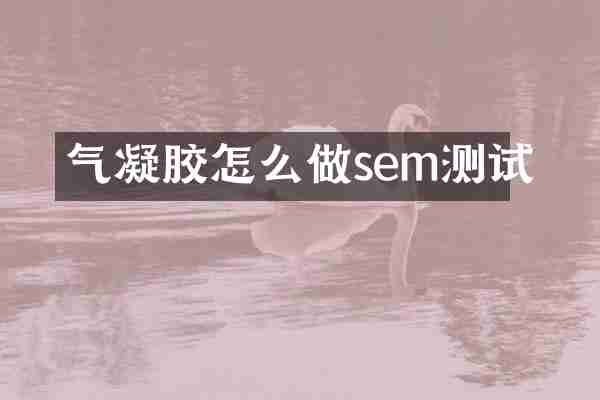 气凝胶怎么做sem测试