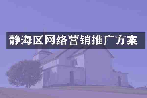 静海区网络营销推广方案