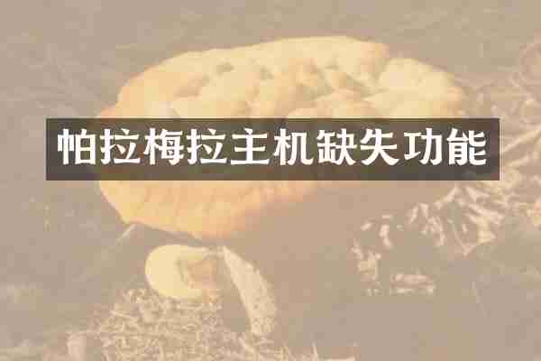 帕拉梅拉主机缺失功能