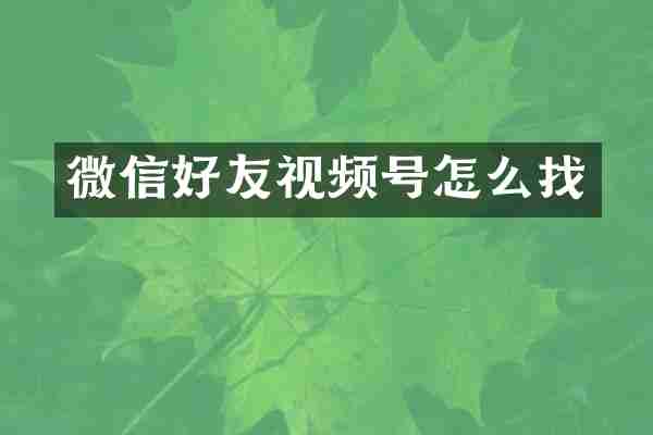 微信好友视频号怎么找