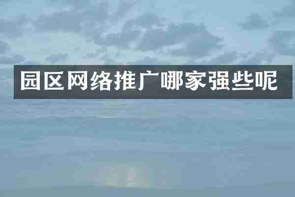 园区网络推广哪家强些呢