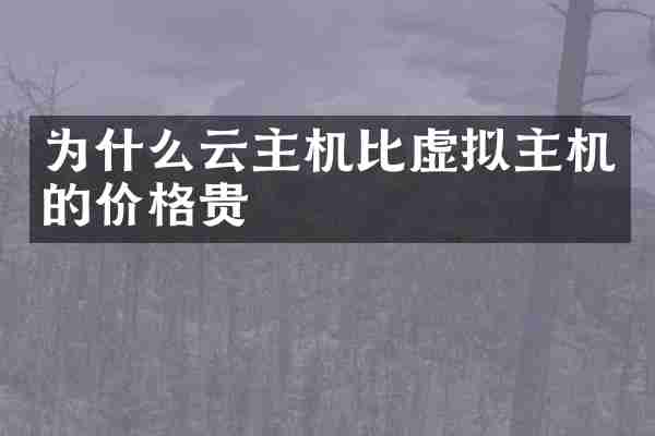 为什么云主机比虚拟主机的价格贵