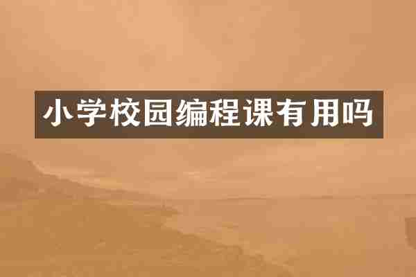 小学校园编程课有用吗