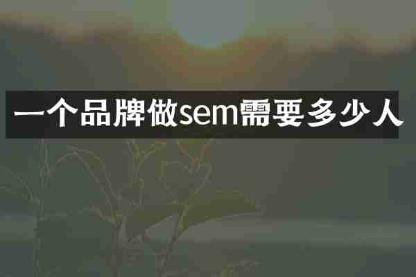 一个品牌做sem需要多少人