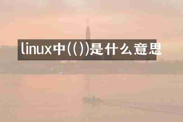linux中(())是什么意思