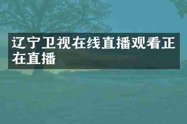 辽宁卫视在线直播观看正在直播