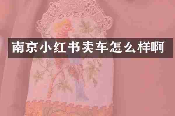 南京小红书卖车怎么样啊