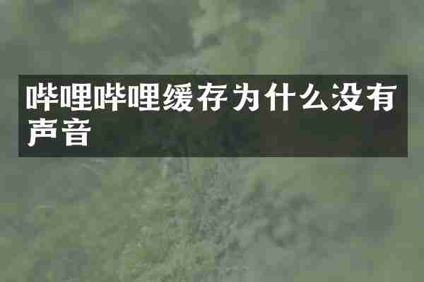 哔哩哔哩缓存为什么没有声音