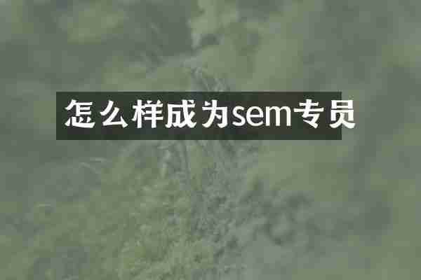 怎么样成为sem专员