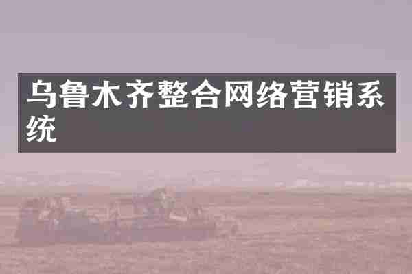 乌鲁木齐整合网络营销系统