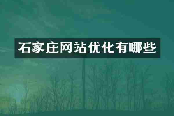 石家庄网站优化有哪些