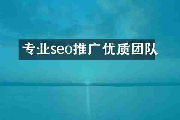 专业seo推广优质团队