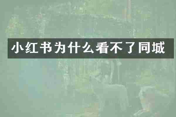 小红书为什么看不了同城