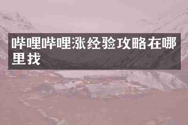哔哩哔哩涨经验攻略在哪里找
