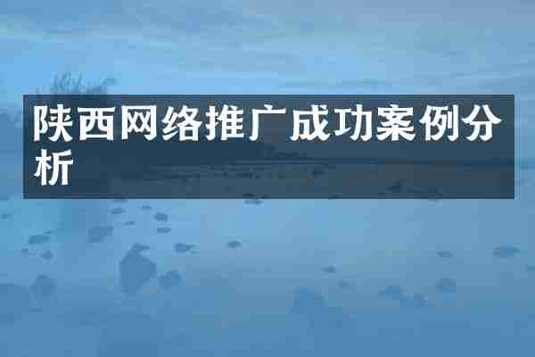 陕西网络推广成功案例分析