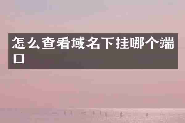 怎么查看域名下挂哪个端口