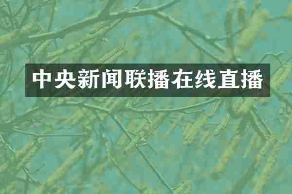 中央新闻联播在线直播