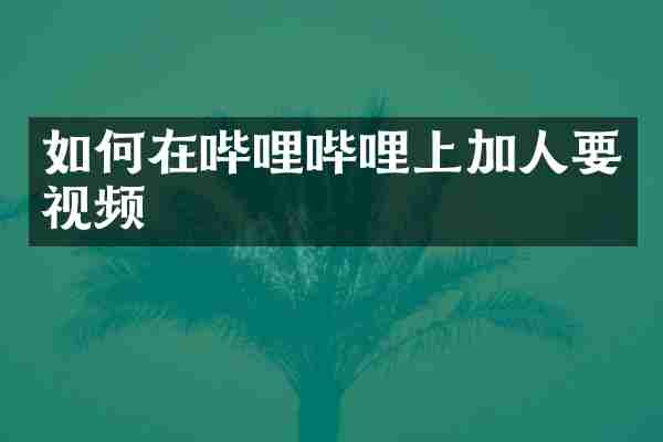 如何在哔哩哔哩上加人要视频