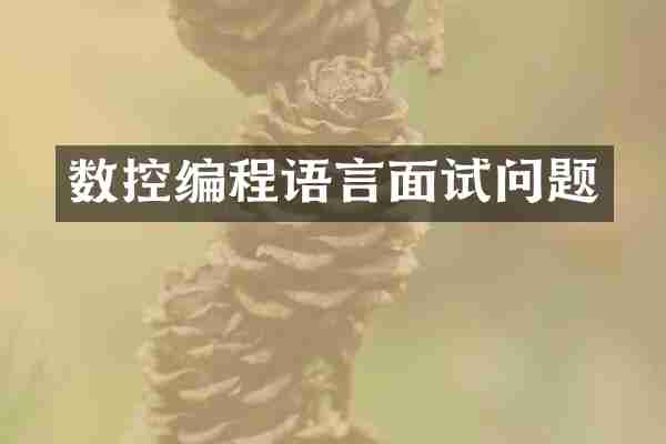 数控编程语言面试问题