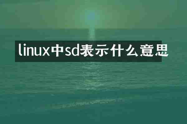 linux中sd表示什么意思